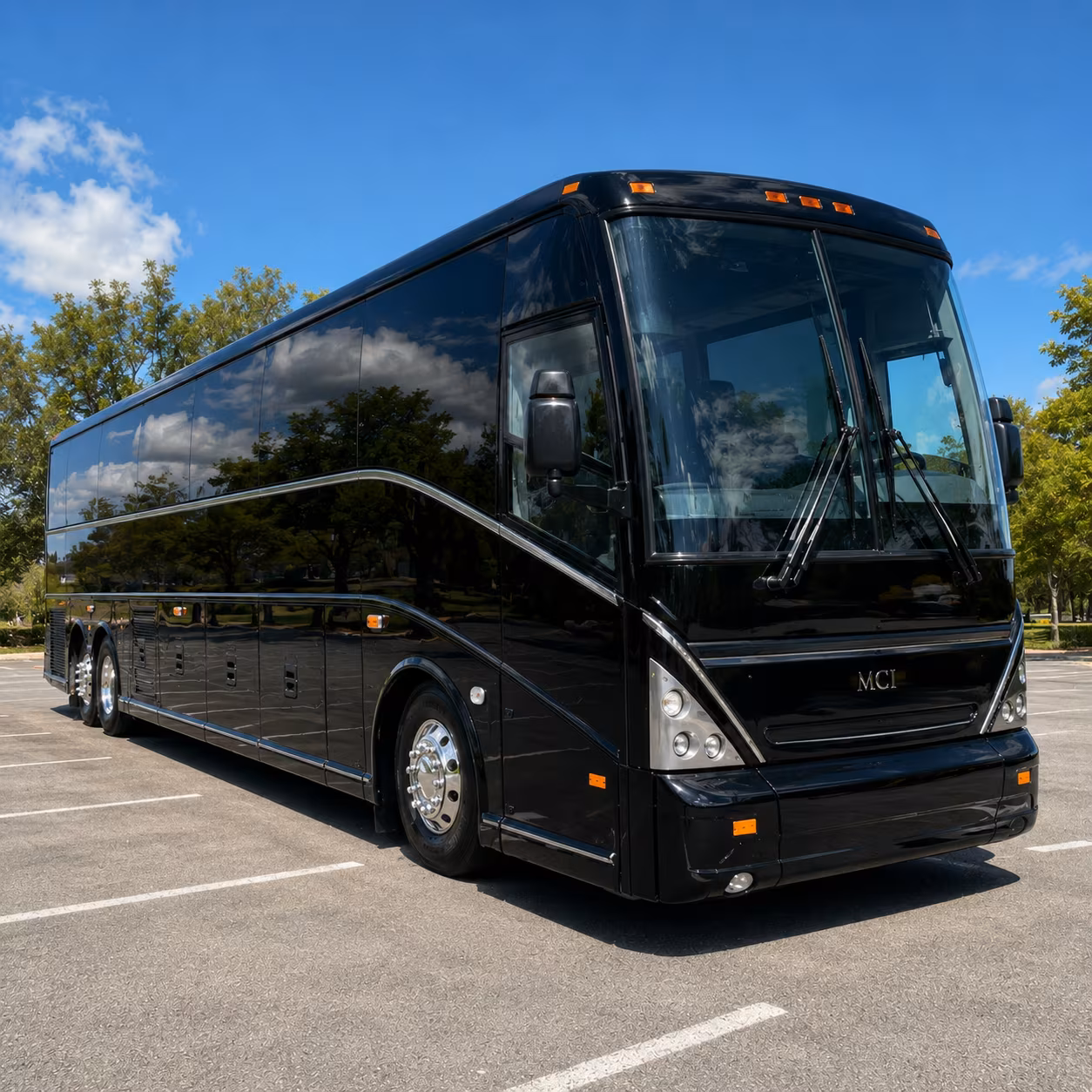 natural bridge caverns wildlife ranch field trip buses